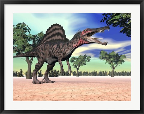 Framed Spinosaurus standing in the desert with trees Print