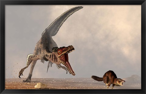 Framed velociraptor chasing a rat sized mammal Print