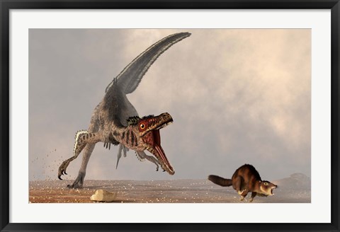 Framed velociraptor chasing a rat sized mammal Print