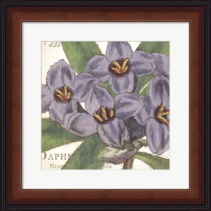 Framed Purple Floral Print