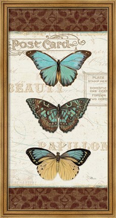 Framed Papillons II Print