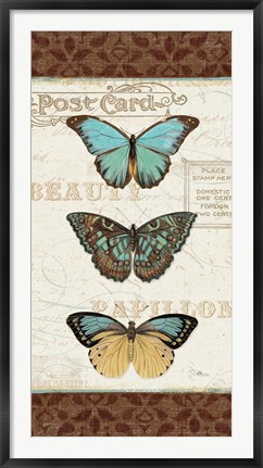 Framed Papillons II Print