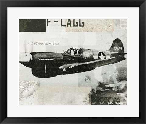 Framed Wings Collage II Print