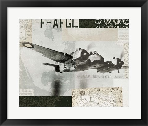 Framed Wings Collage III Print