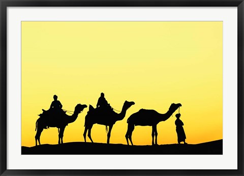 Framed Camels and driver at sunset, Thar Desert, Jodhpur, India Print