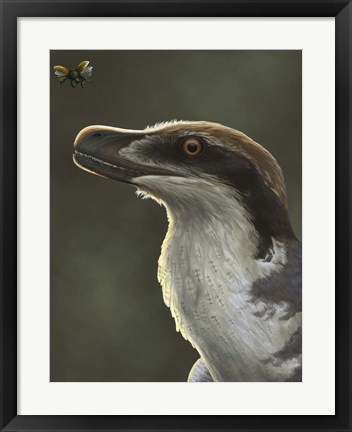 Framed Acheroraptor dromaeosaurid dinosaur with hispine beetle Print