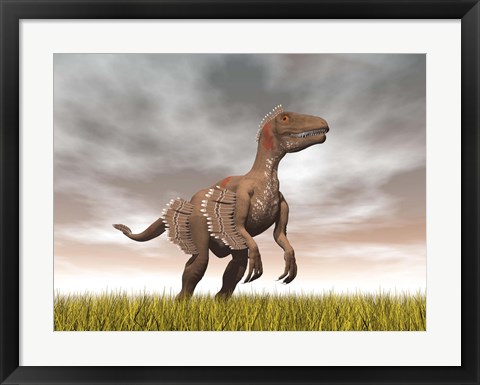 Framed Velociraptor dinosaur standing in the yellow grass Print