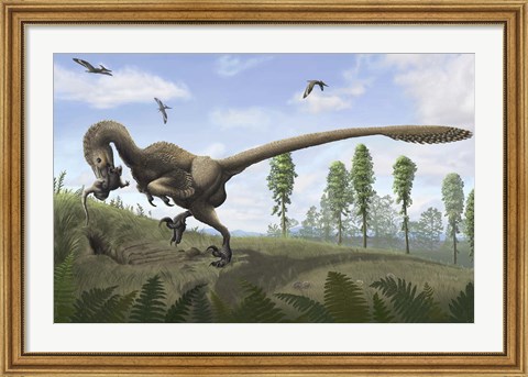 Framed Saurornitholestes seeks prey in burrows Print