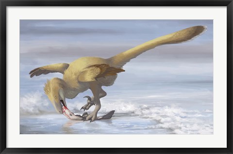 Framed Deinonychus antirrhopus preys on a fish Print