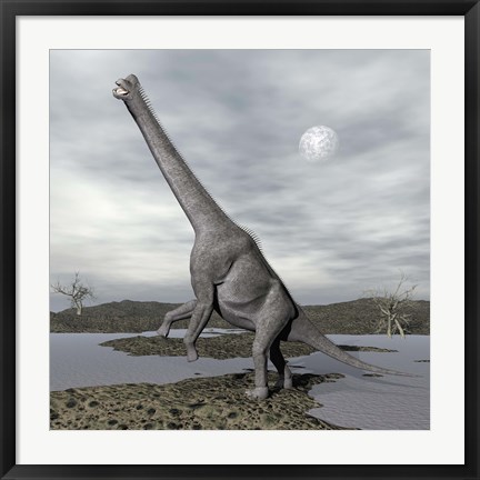 Framed Brachiosaurus dinosaur backdropped by a full moon Print