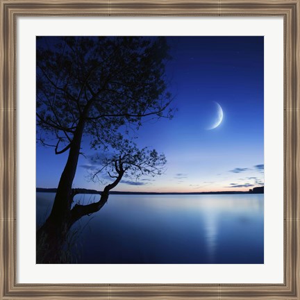 Framed Silhouette of a lonely tree in a lake against a starry sky and moon Print