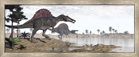 Framed Two Spinosaurus dinosaurs walking to the water in a desert landscape Print