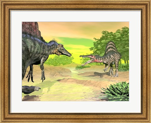 Framed Confrontation between two Spinosaurus dinosaurs Print