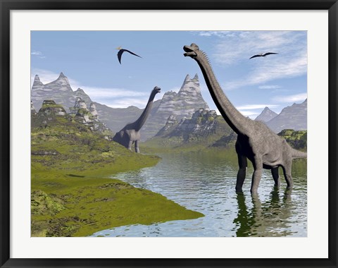 Framed Brachiosaurus dinosaurs walking in a stream on a beautiful day Print