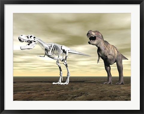 Framed Comparison of Tyrannosaurus Rex standing next to its fossil skeleton Print