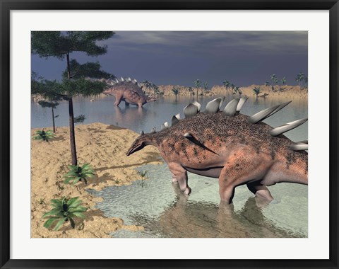 Framed Kentrosaurus dinosaurs walking in the water next to sand and trees Print