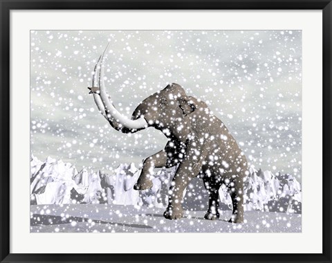 Framed Mammoth walking through a blizzard on mountain Print