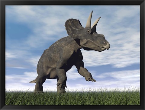 Framed Nedoceratops dinosaur grazing in grassy field Print