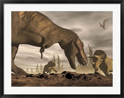 Framed Tyrannosaurus Rex roaring at two Triceratops on rocky terrain Print