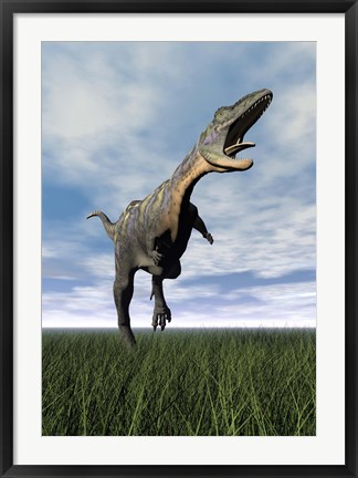 Framed Aucasaurus dinosaur running on the green grass with mouth open Print