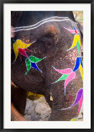 Framed Elephant at Amber Fort, Rajasthan, Jaipur, India Print