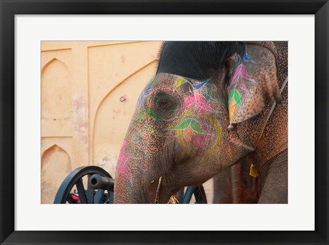 Framed Decorated elephant at the Amber Fort, Jaipur, Rajasthan, India. Print