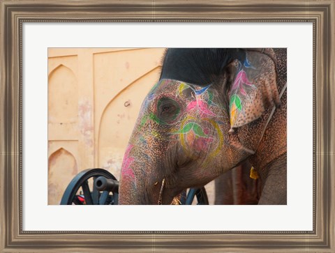 Framed Decorated elephant at the Amber Fort, Jaipur, Rajasthan, India. Print