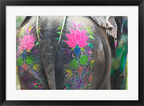 Framed Elephant Decorated with Colorful Painting at Elephant Festival, Jaipur, Rajasthan, India Print