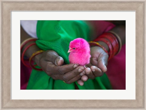 Framed Woman and Chick Painted with Holy Color, Orissa, India Print