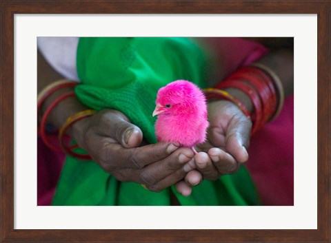 Framed Woman and Chick Painted with Holy Color, Orissa, India Print