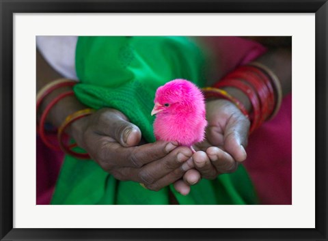 Framed Woman and Chick Painted with Holy Color, Orissa, India Print