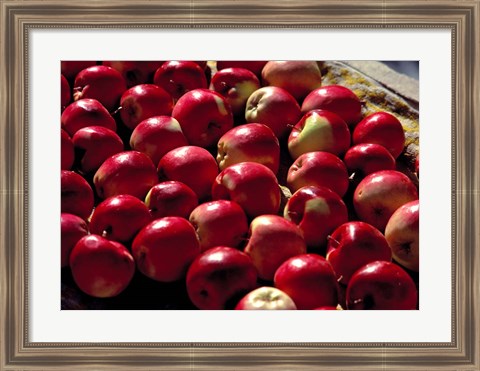 Framed India, Ladakh, Leh. Apples at market in Lamayuru Print