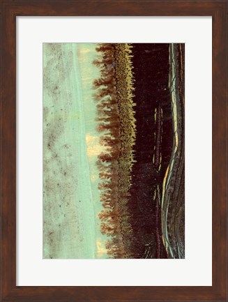 Framed Lichen II Print