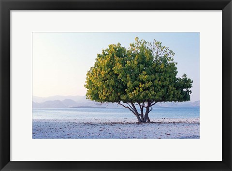 Framed Asia, Indonesia, Lesser Sunda Archipelago, Beach Print