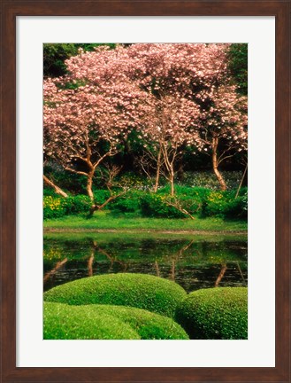 Framed Reflecting Pond, Imperial Palace East Gardens, Tokyo, Japan Print