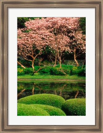 Framed Reflecting Pond, Imperial Palace East Gardens, Tokyo, Japan Print