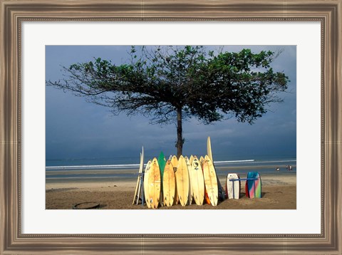 Framed Surfboards Lean Against Lone Tree on Beach in Kuta, Bali, Indonesia Print