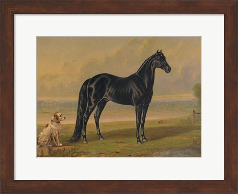 Framed America&#39;s Renowned Stallions, c. 1876 I Print