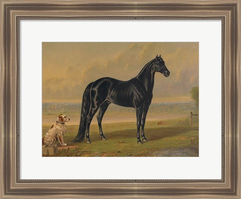 Framed America&#39;s Renowned Stallions, c. 1876 I Print