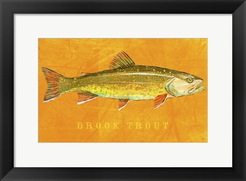 Framed Brook Trout Print