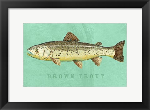 Framed Brown Trout Print