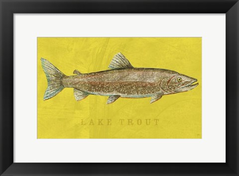 Framed Lake Trout Print