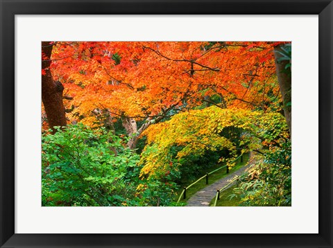 Framed Okochi Sanso, Kyoto, Japan Print