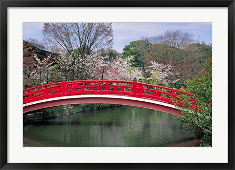 Framed Spring Season, Kyoto, Japan Print