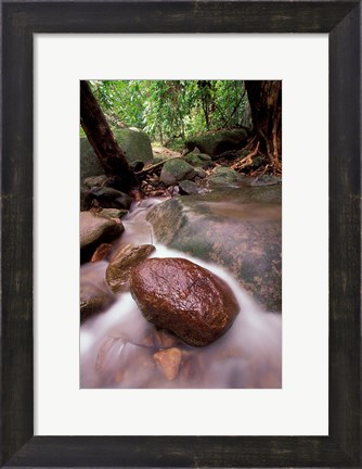 Framed Rainforest Stream, Bako National Park, Borneo, Malaysia Print