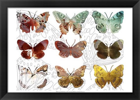 Framed Layered Butterflies II Print