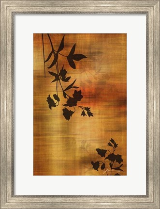 Framed Sepia Floral II Print