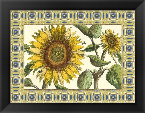 Framed Classical Sunflower I Print