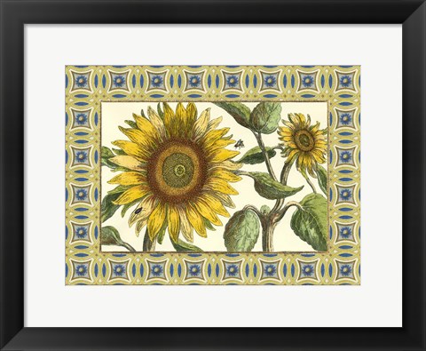 Framed Classical Sunflower I Print