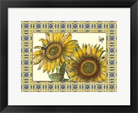 Framed Classical Sunflower II Print